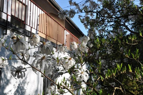 Hostellerie Val Fleuri Mersch Dış mekan fotoğraf